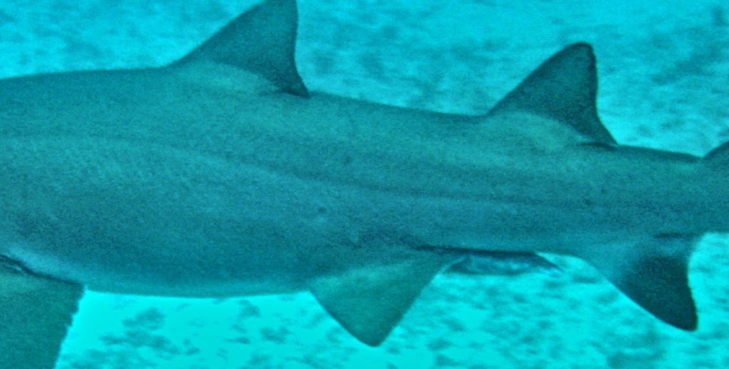 9f4d0d42-e68b-4653-9c79-1b3946a68b27