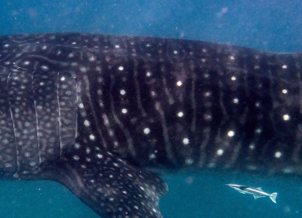 956d6d8f-a58e-43b6-99da-08c6677b8ded