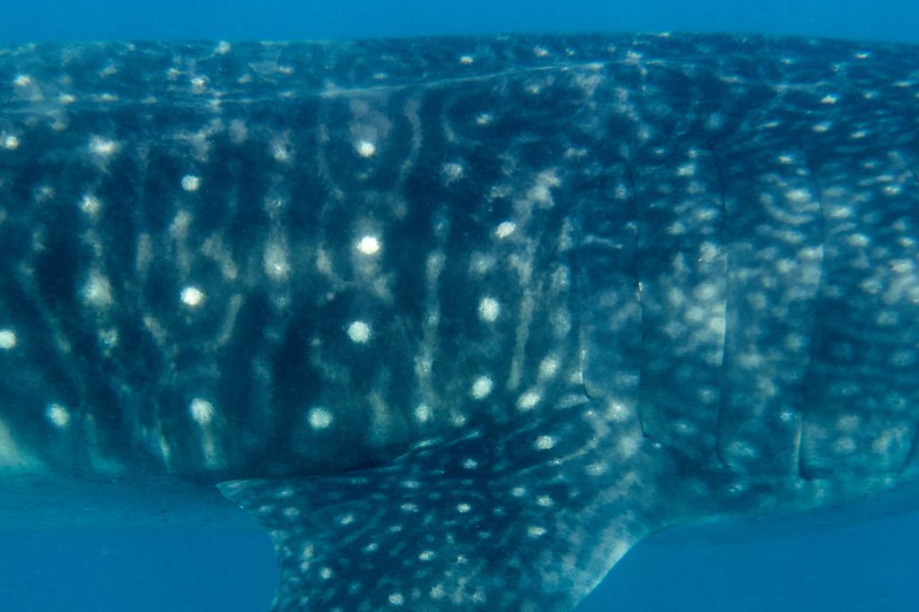 956d6d8f-a58e-43b6-99da-08c6677b8ded