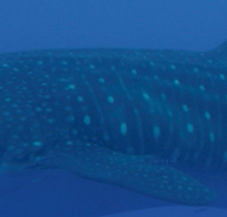 df1a1a17-08be-423c-be9f-6b3c045a8639