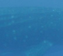 df1a1a17-08be-423c-be9f-6b3c045a8639