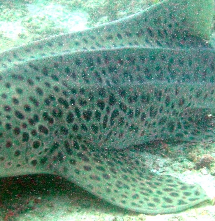 79a2935a-450f-40f3-85c4-7567fbf7b0a0