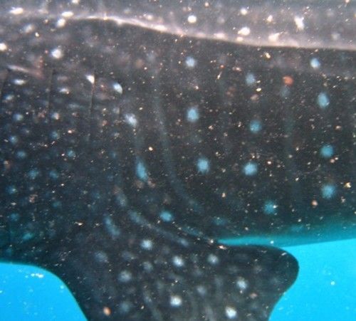 f1e74bc6-7517-478c-af2e-4edaadb1e155