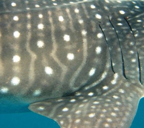 f1e74bc6-7517-478c-af2e-4edaadb1e155