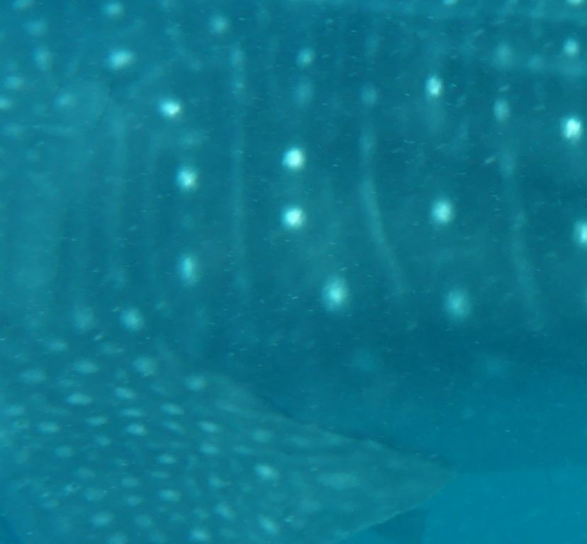 797d55ea-5634-4251-b64e-d3ab8909bf97