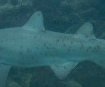 0f09175f-d01c-4b93-954d-6f53f5f5afb4