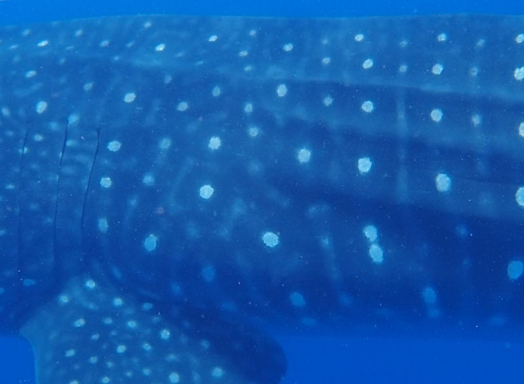 b4166346-e259-4c6a-8fdc-35178aebd756