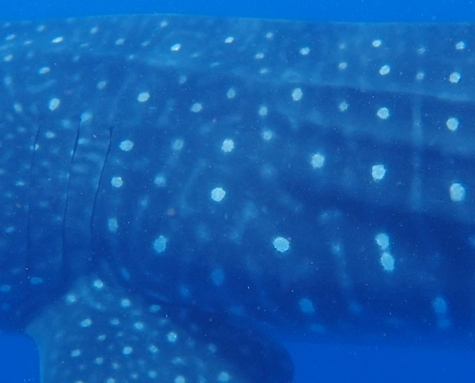 b4166346-e259-4c6a-8fdc-35178aebd756