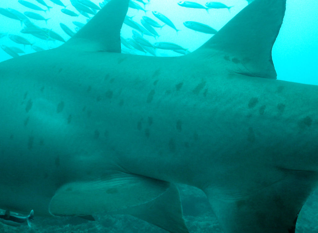 181875bf-9ee4-4bbe-8acf-8e469fb1e662