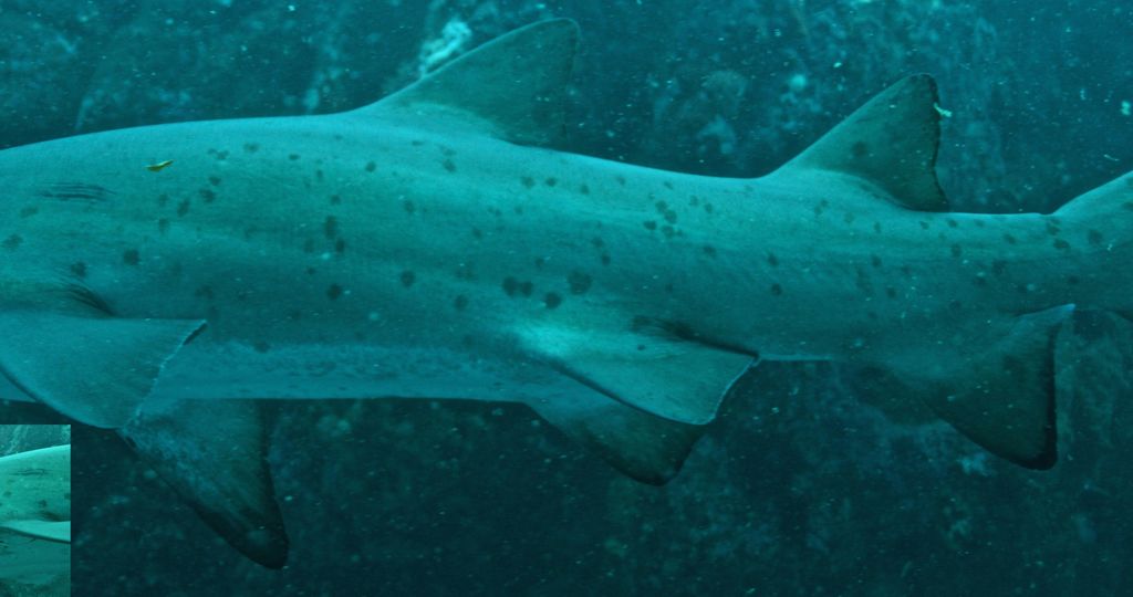 5138d44e-3da4-4128-a10f-8d35b2a87e21