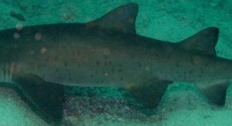 77ab227c-ab3d-4c63-8218-5f2117a892ec