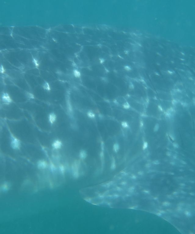 103fe0b7-bce6-4694-86db-c5bb5ba37466