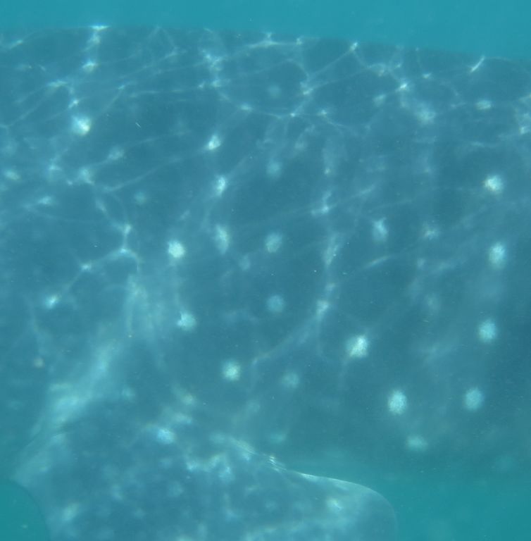 103fe0b7-bce6-4694-86db-c5bb5ba37466