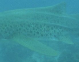 411dba64-e6ef-40b2-abfd-98569705f102