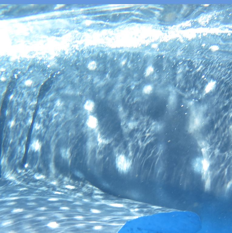 3e7024e9-0141-4d5c-ab77-e4f090b9d791