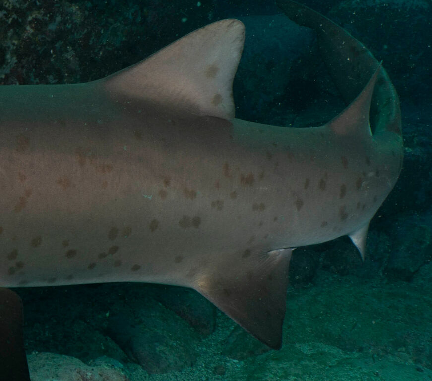 6d7093f3-f711-469d-8ad1-2bf3491000c3