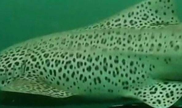 66f6fd12-ff47-421c-8e7b-0783771bec19