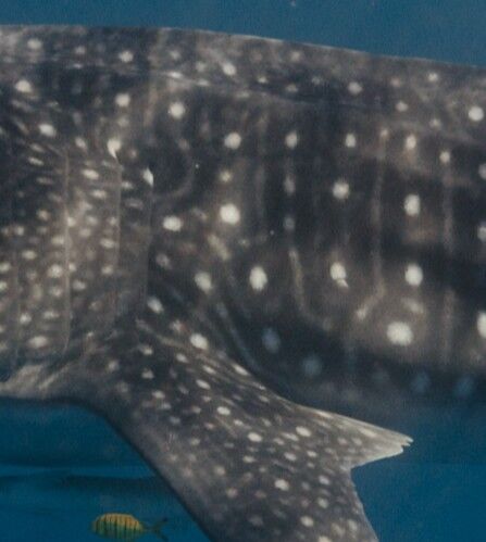 2b9b5f42-fe4f-4e93-92db-8d0027085629