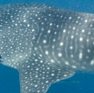 52d0857d-c017-413a-bf0d-be0d3731e90b