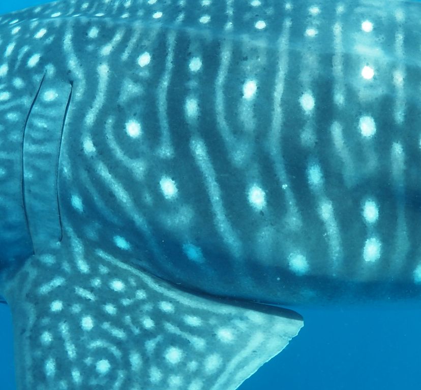 dbd0f1cd-e412-4605-9ad9-d4bcf4616e45