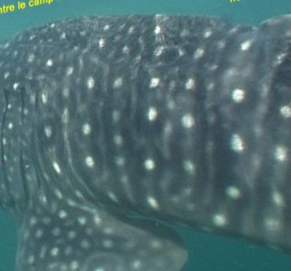 14a1c8c0-3375-47bf-afad-a793070d00fc