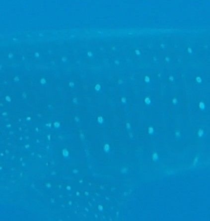 a9a9647b-8a6f-4b05-b263-0c9ba560d42e