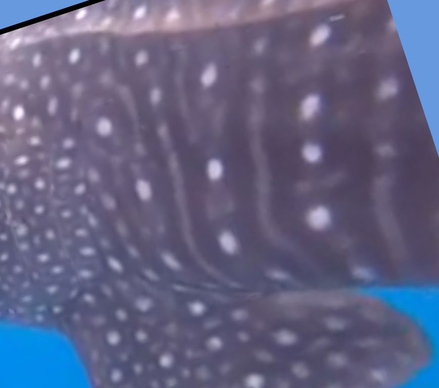 37111f88-2803-46cf-9798-e523f10be6be