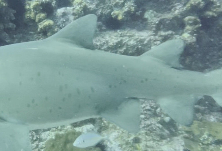 d56fb99c-880b-4690-a4df-ce15ce4ba4c6