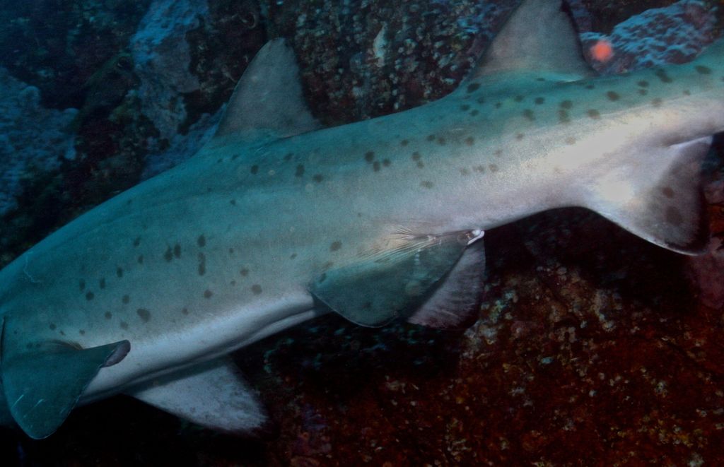 baa46882-f154-4f21-8cfa-4cff52fdee7e