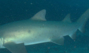 3dbe4add-252f-4d0f-8d44-9aef5e53ef69