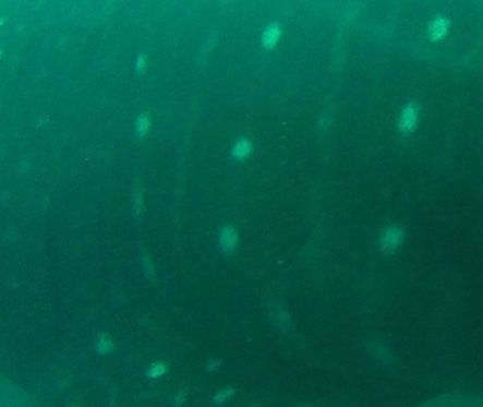 e94a49ad-a7c6-4363-b2cd-7de324ad1b6e