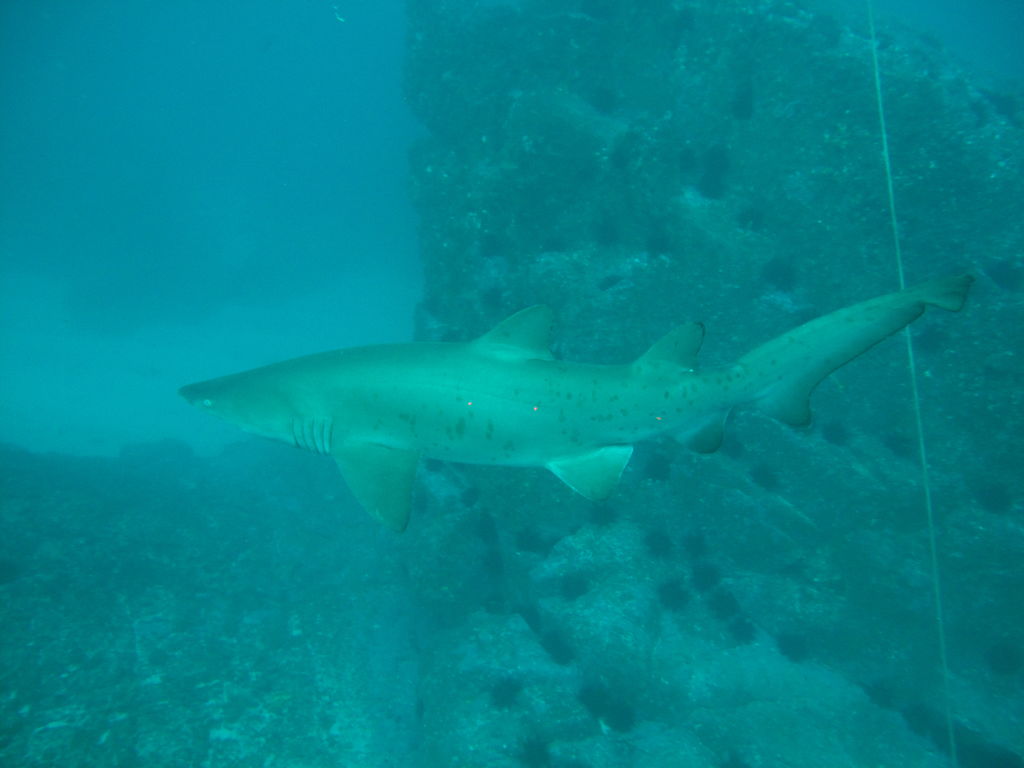 ede06208-a448-4840-84a4-989607785747