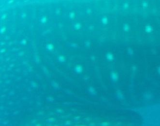 7eabfe2d-7fac-4a3c-96a7-3e5b47657e40