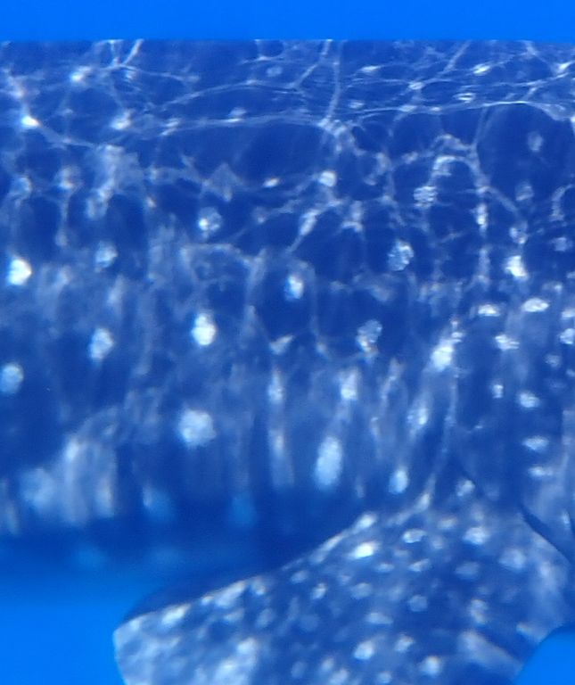 b28f2866-d3cb-4744-b24e-00e39a56e992