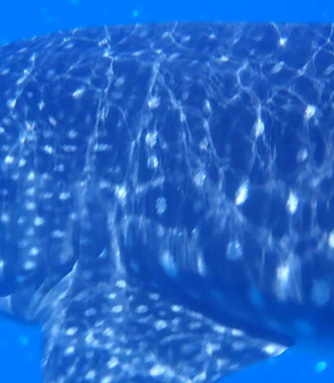 b28f2866-d3cb-4744-b24e-00e39a56e992