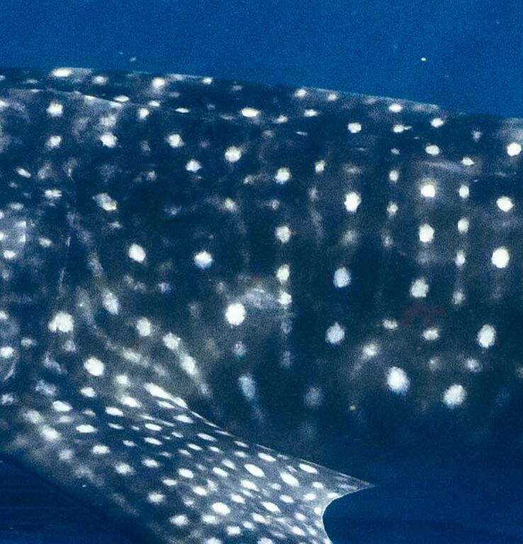 904b8bce-5c7d-42d8-8473-a97f601c1cbd