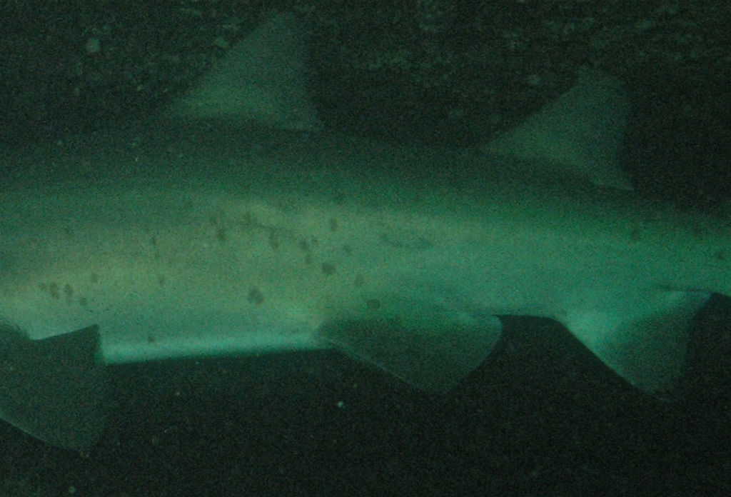 f1516353-b719-4045-addd-1ba2f057ce57