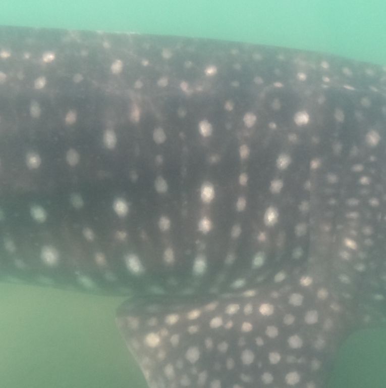 3e34d02a-2c45-4301-984b-29c1ecaf7bdc