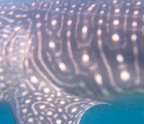 d96f37d3-03e8-4aa5-b38e-201cc46df6b1