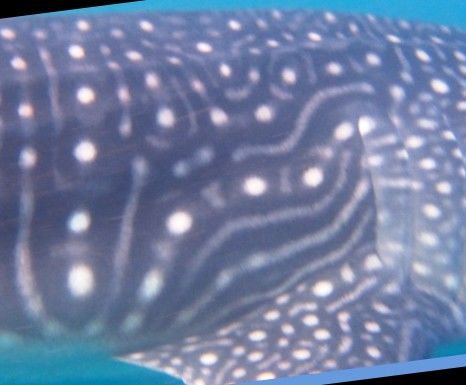 d96f37d3-03e8-4aa5-b38e-201cc46df6b1