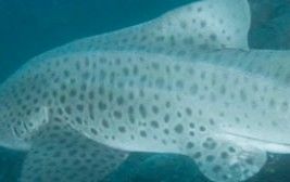 2cea99ab-6b0e-42d9-8ef0-fd599c4e34cd