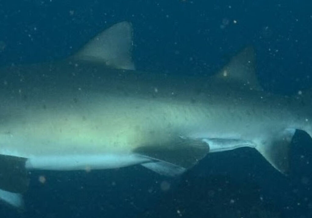 fcc56258-1506-4286-87a4-b334ea7b384f