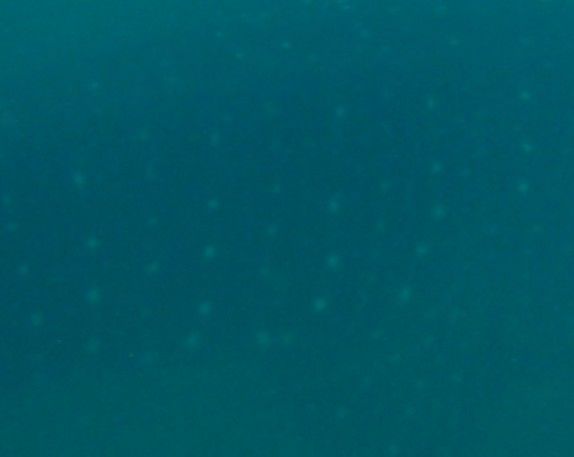 c90ed4bd-b368-4526-b9a5-6431d5bcd7b4