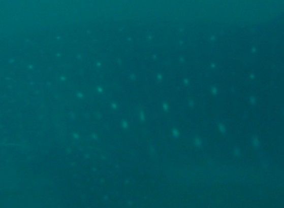 c90ed4bd-b368-4526-b9a5-6431d5bcd7b4