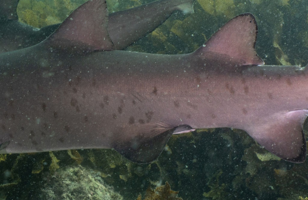 c6517d8b-d40f-43f5-9e12-4acad39fd069