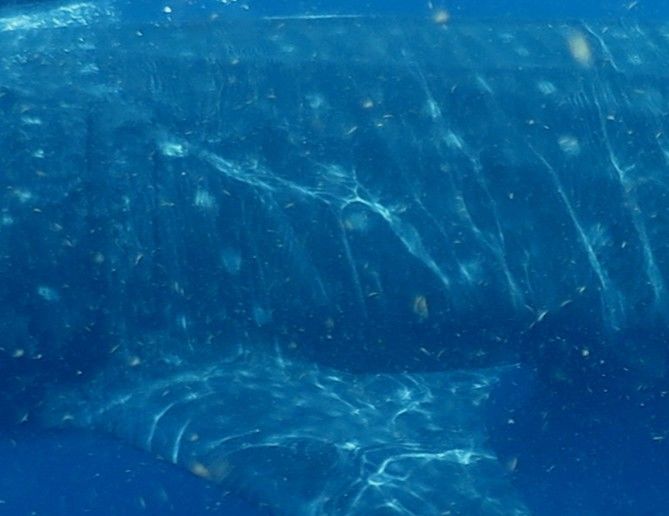 a6df80b9-c239-4bf8-a4c1-1a86412a1d1c