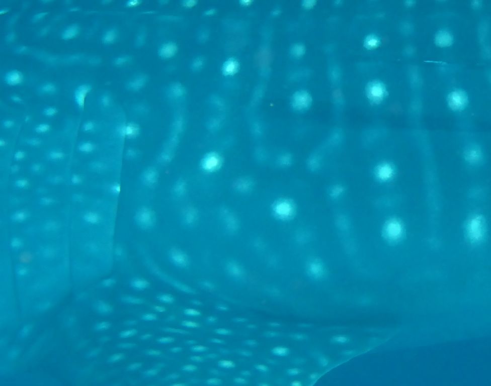 defe3e77-d097-4888-a305-9cc2df271084