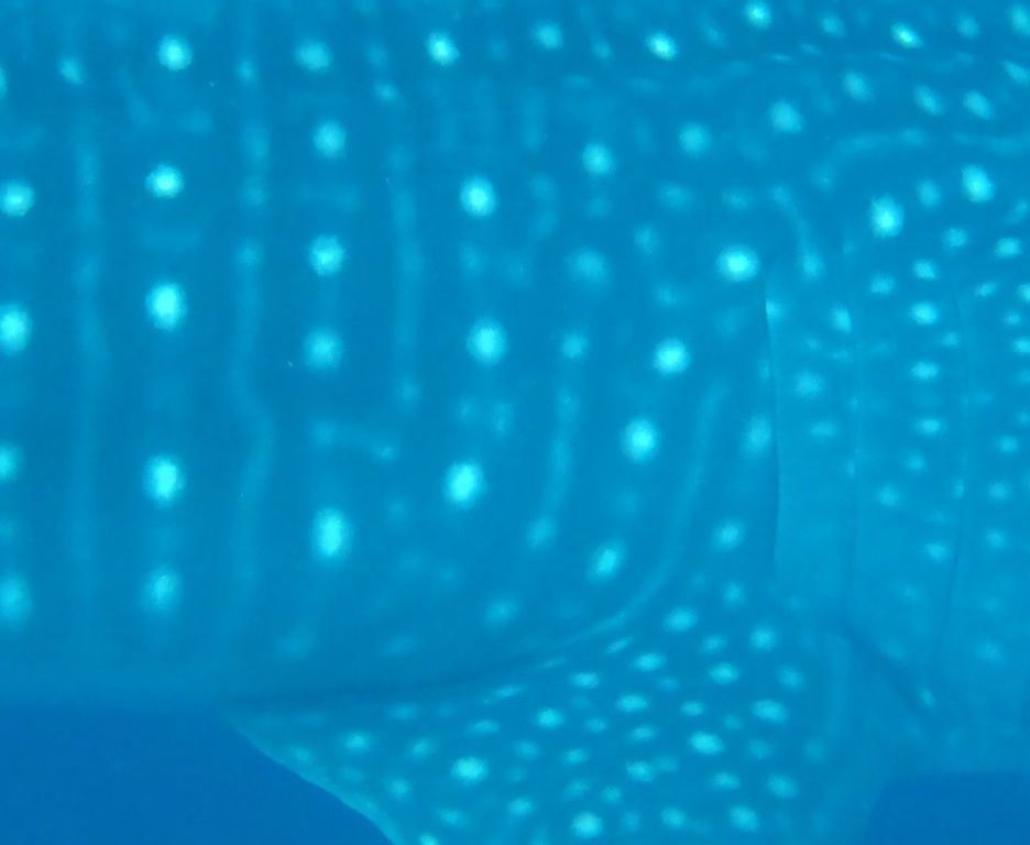 defe3e77-d097-4888-a305-9cc2df271084