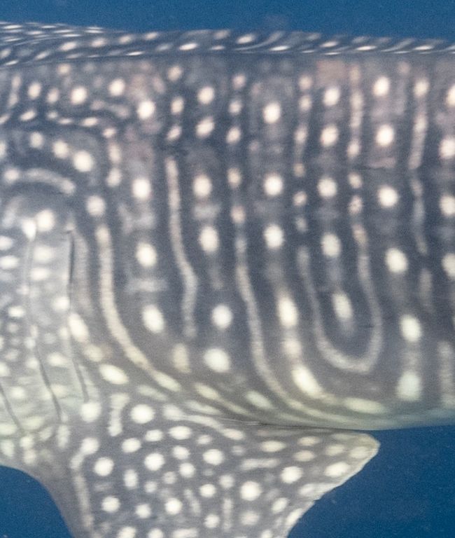 2fb5da56-734c-47aa-a436-f976d1c2abc2