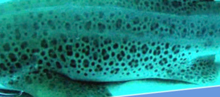 a9040eaa-1246-4df5-bc4f-34bdb5a7bf79